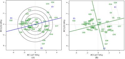 Delineation of Genotype × Environment Interaction for Identification of Stable Genotypes to Grain Yield in Mungbean